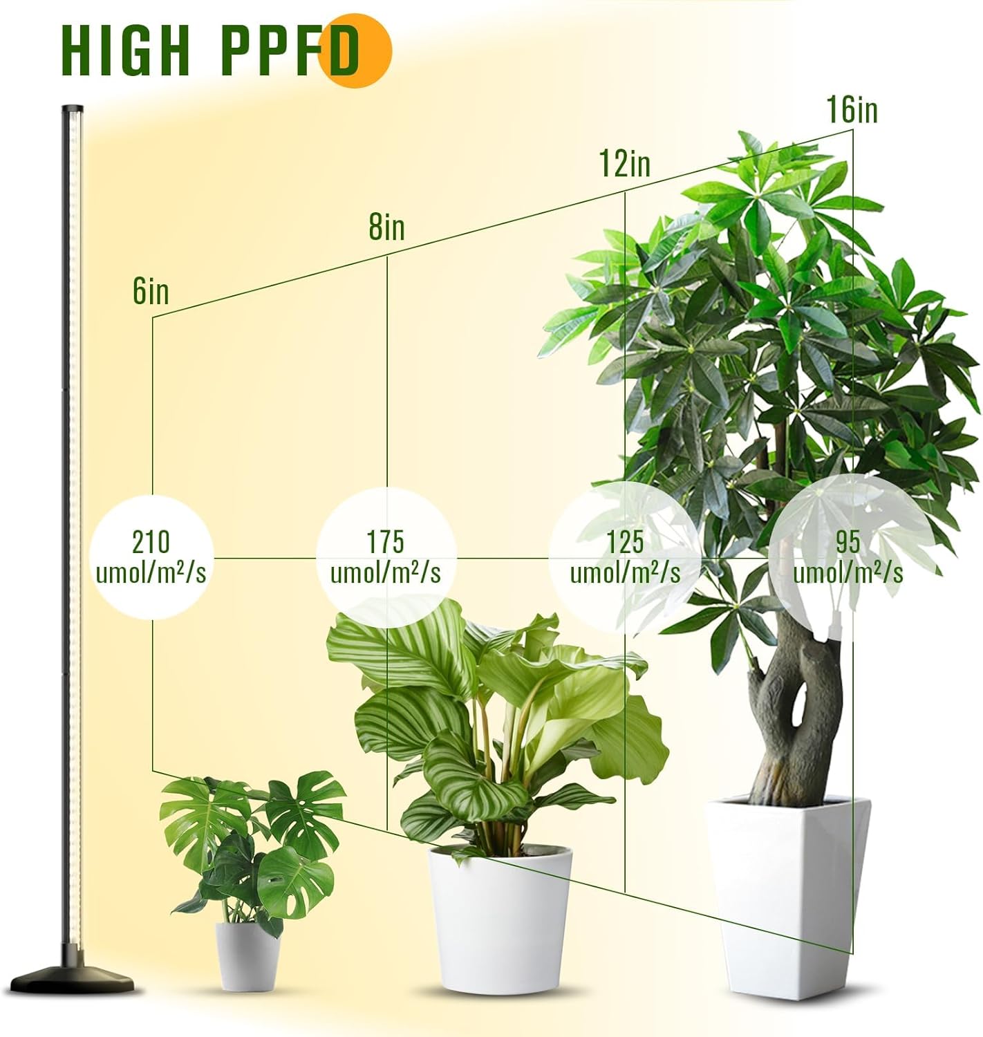 LED Grow Light for Indoor Plants with Timer and 10 Level Dimmable