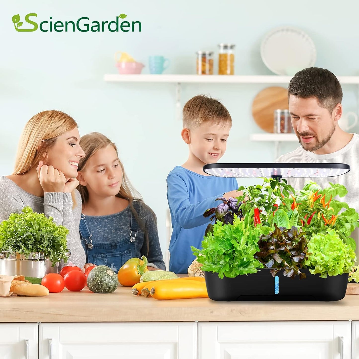 12 Pods Hydroponics Growing System Kit, Adjustable Height, Quiet Smart Pump