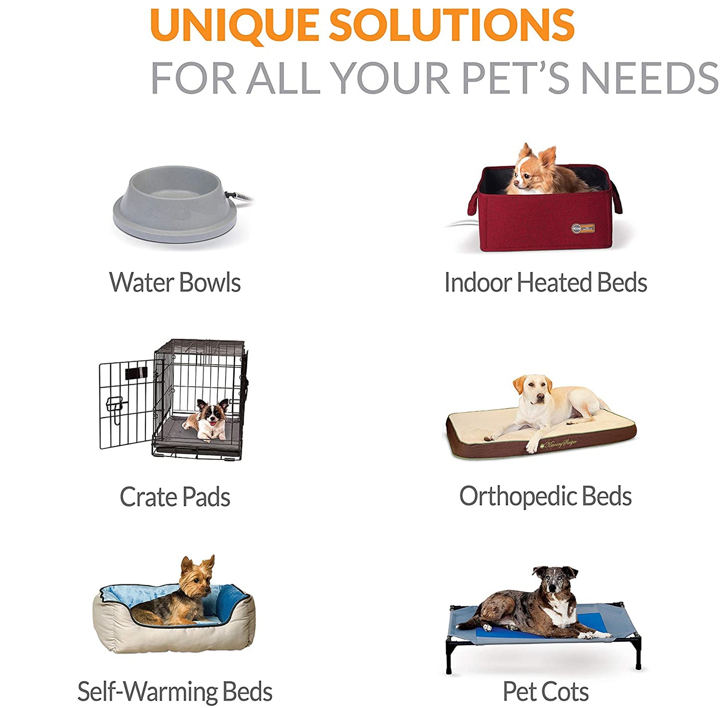 Dog Cot Bed: Elevated Dog Bed Cot Large And Extra Large - SKINMOZ MARKET