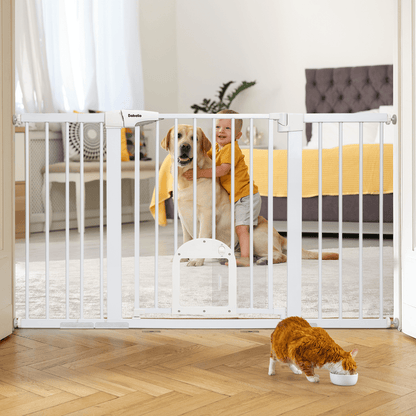 Multi-Pack for Stairs Doorways & Hallways
