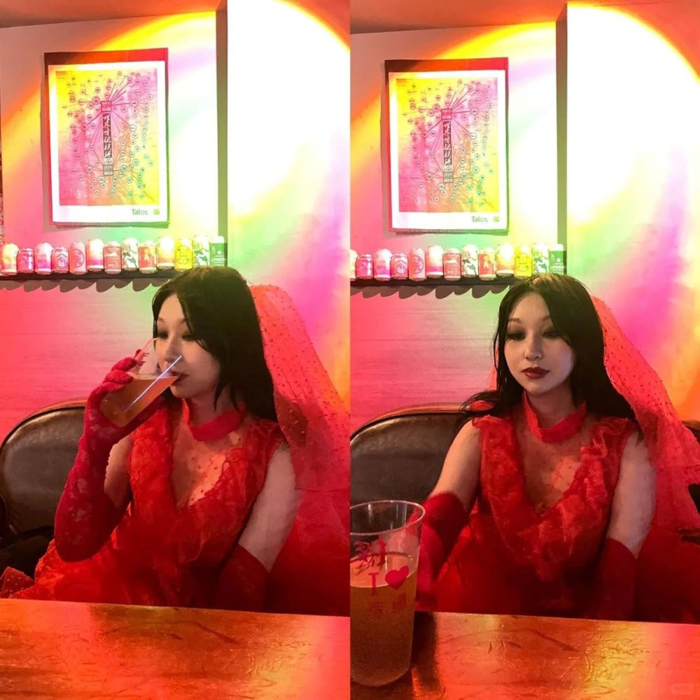 Women’s Gothic Halloween Movie Costume Dress | Lace Maxi