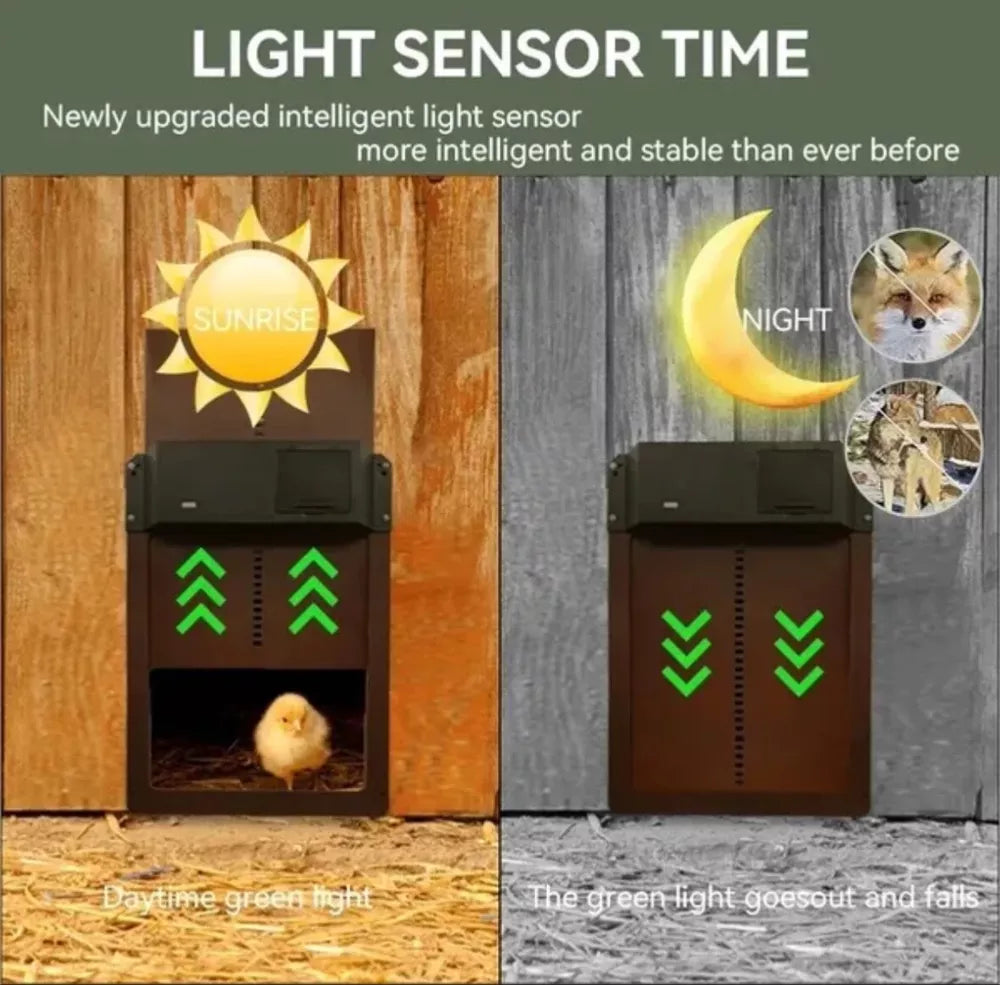 Automatic Chicken Coop Door