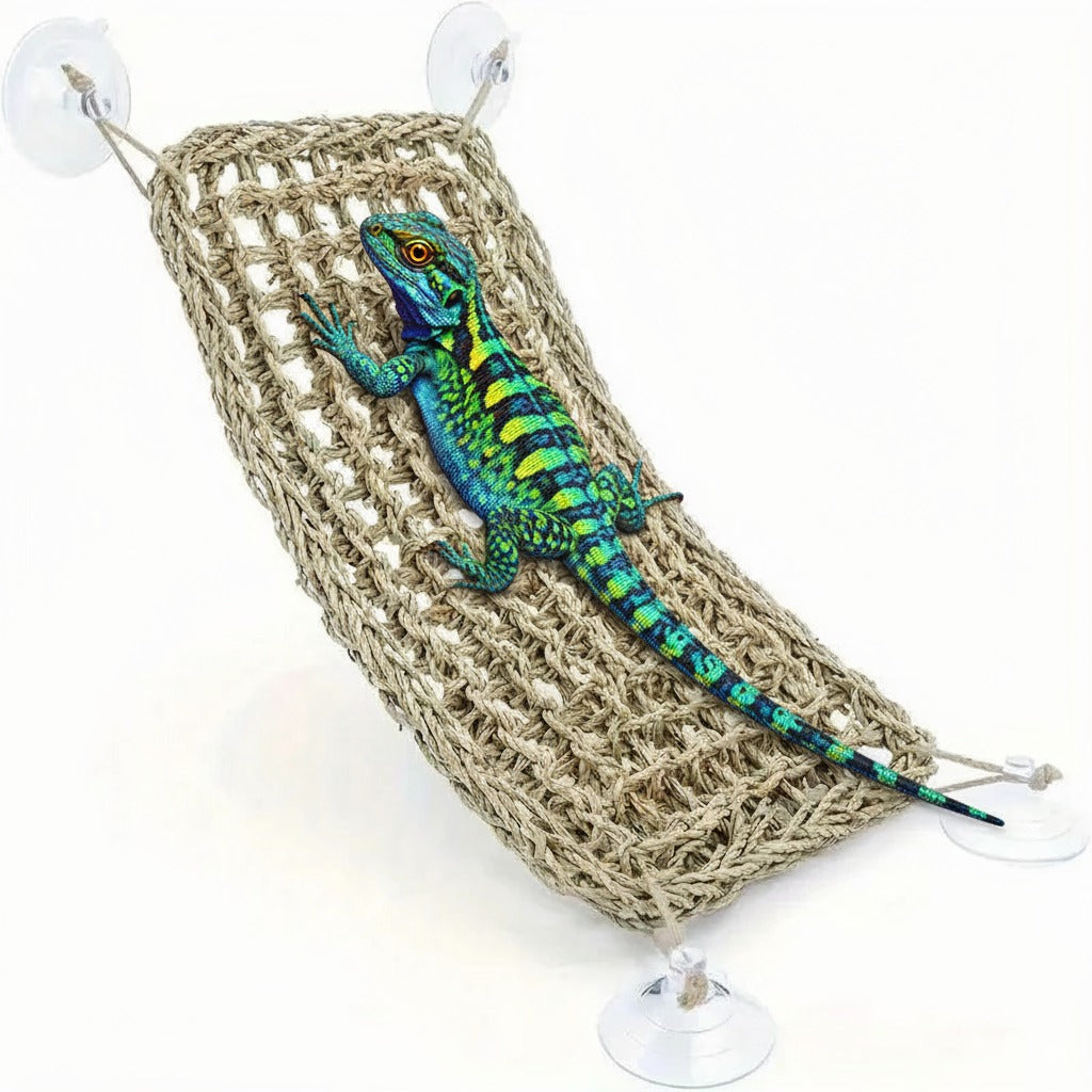 Bearded Dragon Hammock Reptile Lounger for Chameleon  / lizard
