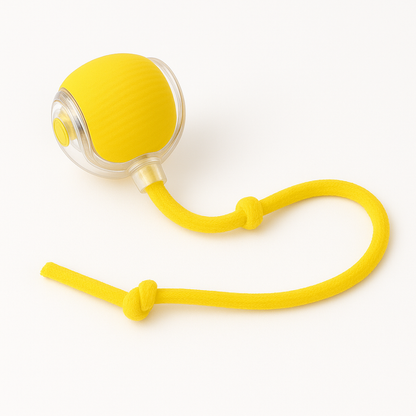 Interactive Rolling Ball Toy for Dogs