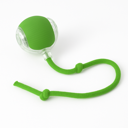 Interactive Rolling Ball Toy for Dogs