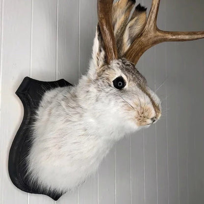Jackalope Wall Decor