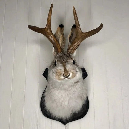 Jackalope Wall Decor