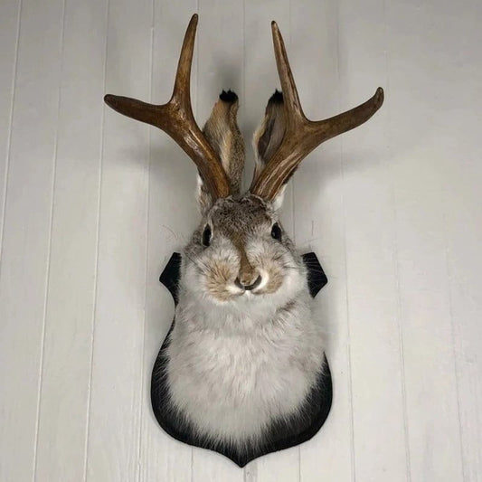 Jackalope Wall Decor