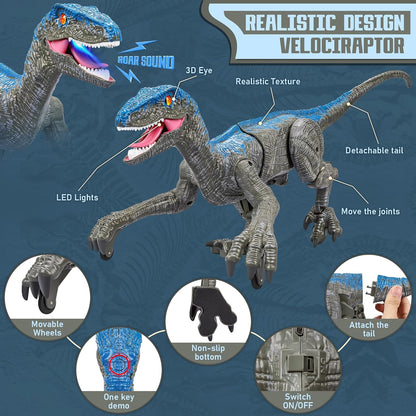 Remote Control Dinosaur Kids Toy