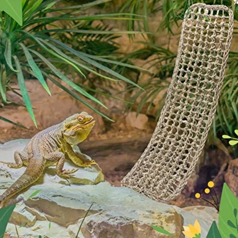Bearded Dragon Hammock Reptile Lounger for Chameleon  / lizard