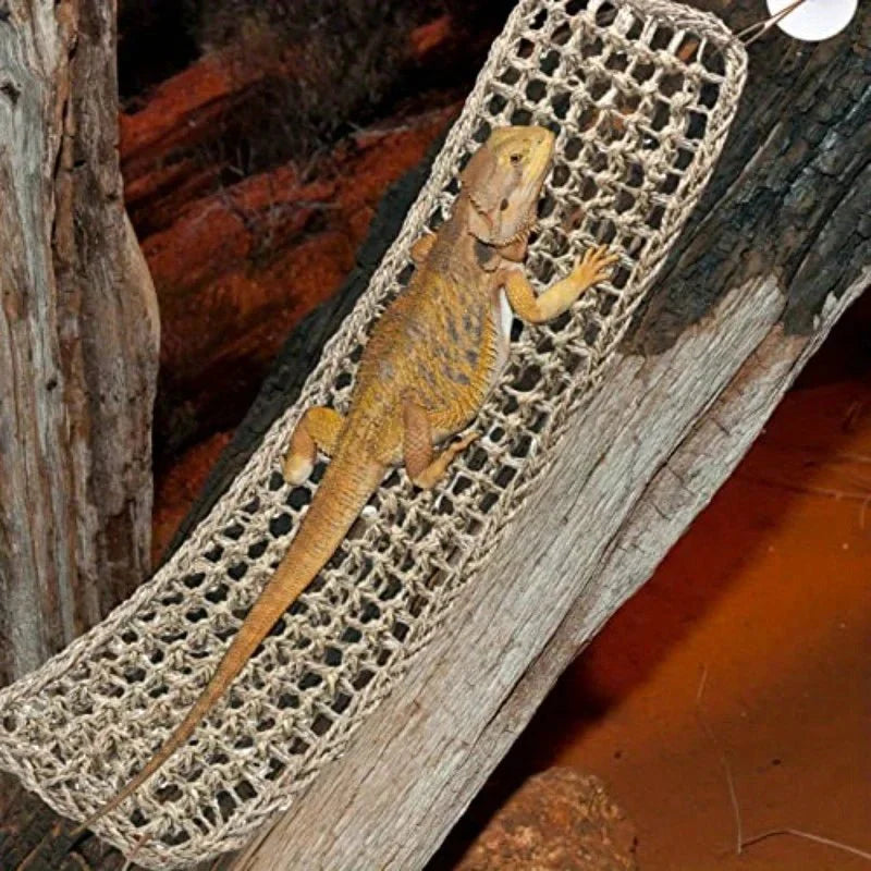 Bearded Dragon Hammock Reptile Lounger for Chameleon  / lizard