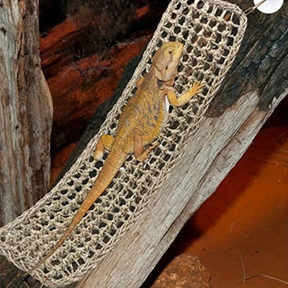 Bearded Dragon Hammock Reptile Lounger for Chameleon  / lizard