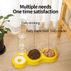 Cat Food Bowls : Cat Double Feeding Bowl With Automatic Waterer Bottle 3 in 1 - SKINMOZ MARKET