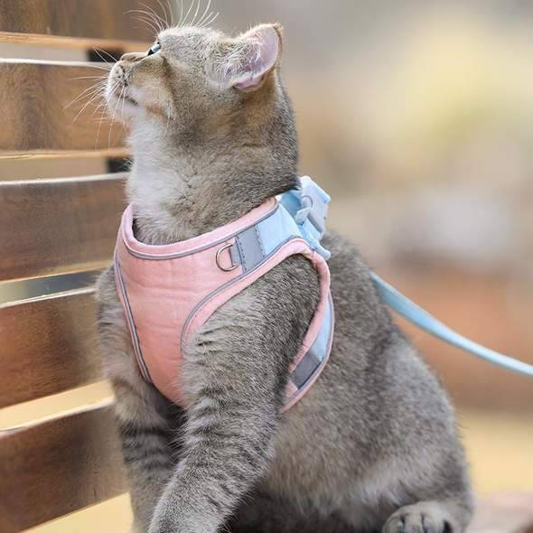 Cat Vest Harness and Leash Set - Escape Proof For Outdoor Walking - SKINMOZ MARKET