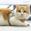 Cat Vest Harness and Leash Set - Escape Proof For Outdoor Walking - SKINMOZ MARKET