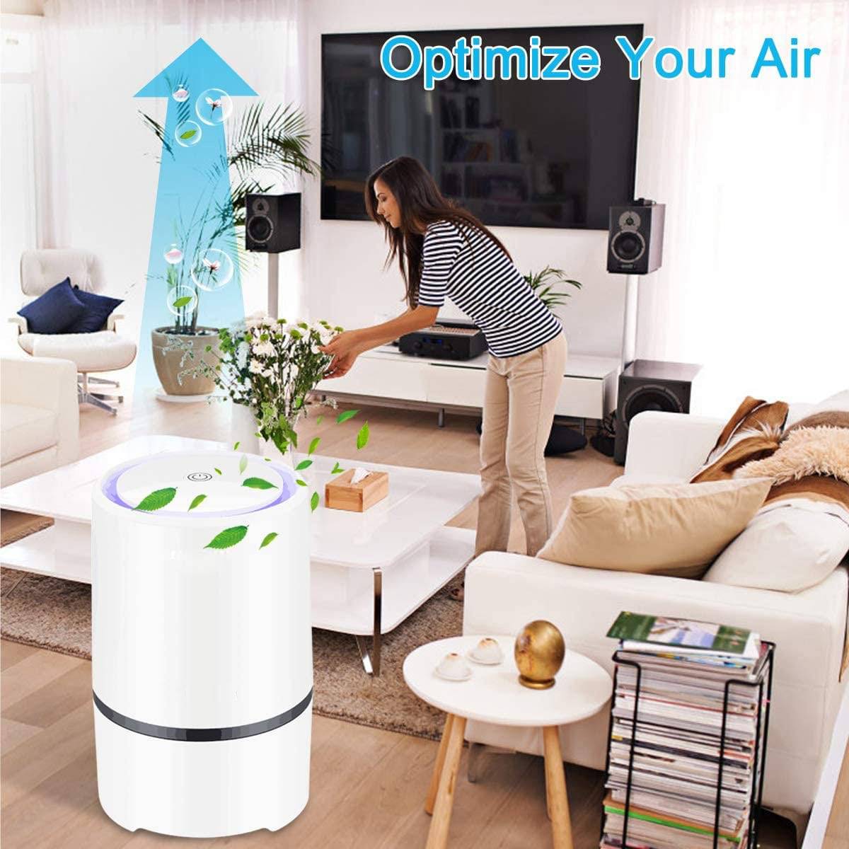 Air Purifier For Home With True HEPA Filter For Smoke Gray - SKINMOZ MARKET