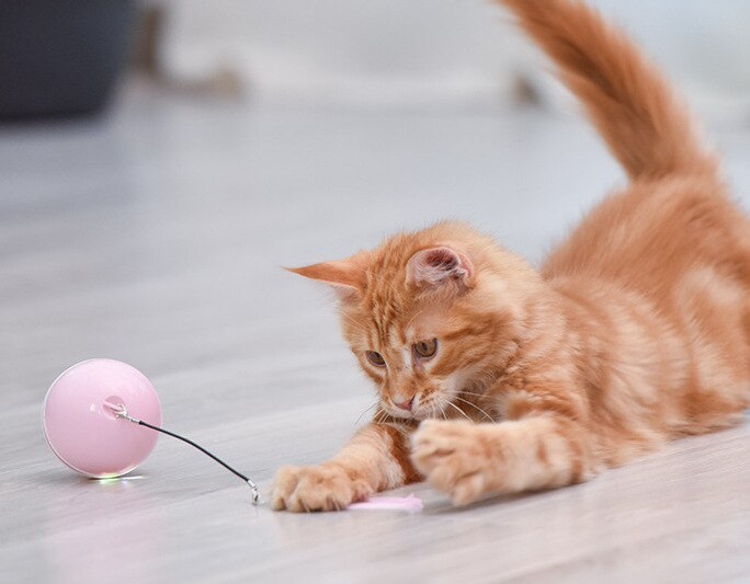 Electric Cat Toy Ball: Automatic Smart Ball Training Cat Toy