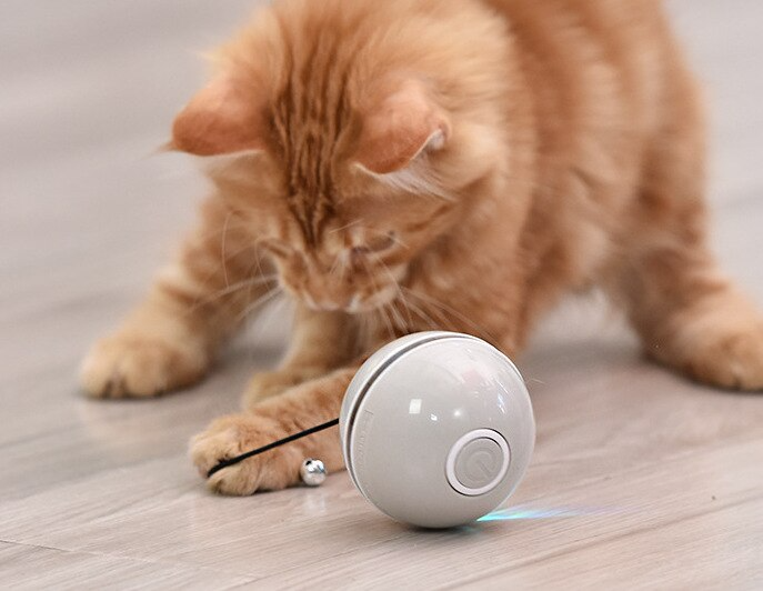 Electric Cat Toy Ball: Automatic Smart Ball Training Cat Toy