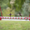 Hummingbird Feeder 20'' Bird Garden Feeder - SKINMOZ MARKET
