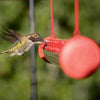 Hummingbird Feeder 20'' Bird Garden Feeder - SKINMOZ MARKET