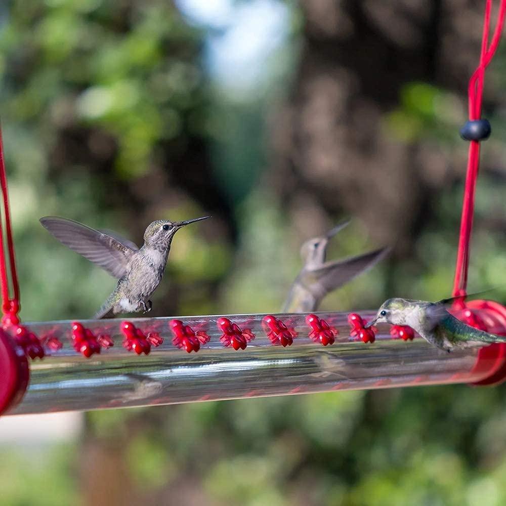 Hummingbird Feeder 20'' Bird Garden Feeder - SKINMOZ MARKET