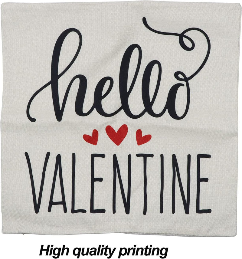 Valentines Day Pillow Covers 18x18 Set of 4: Valentines Cushion Case for Home