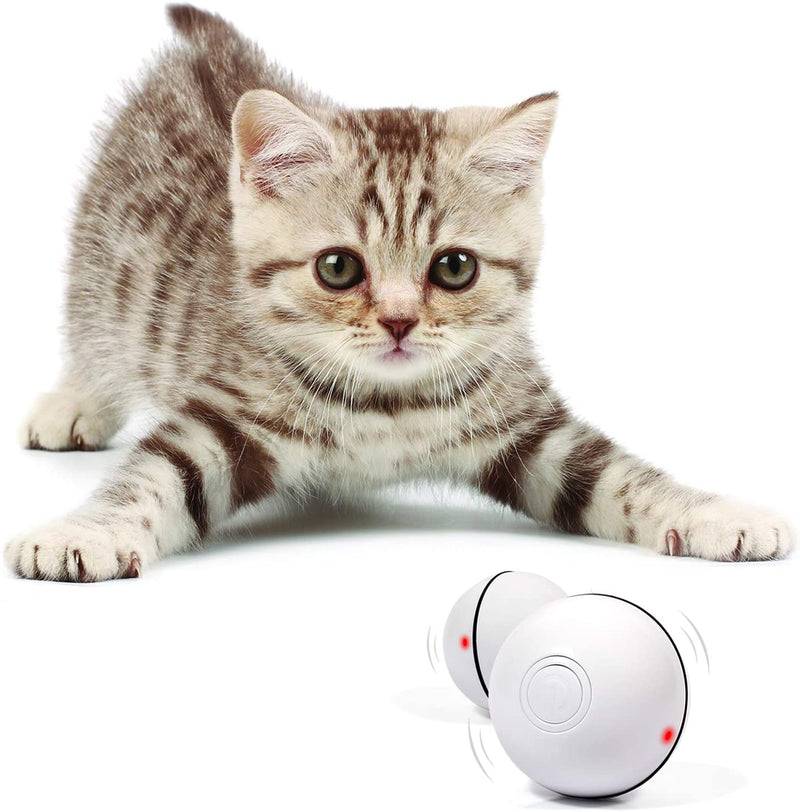 Electric Cat Toy Ball: Automatic Smart Ball Training Cat Toy