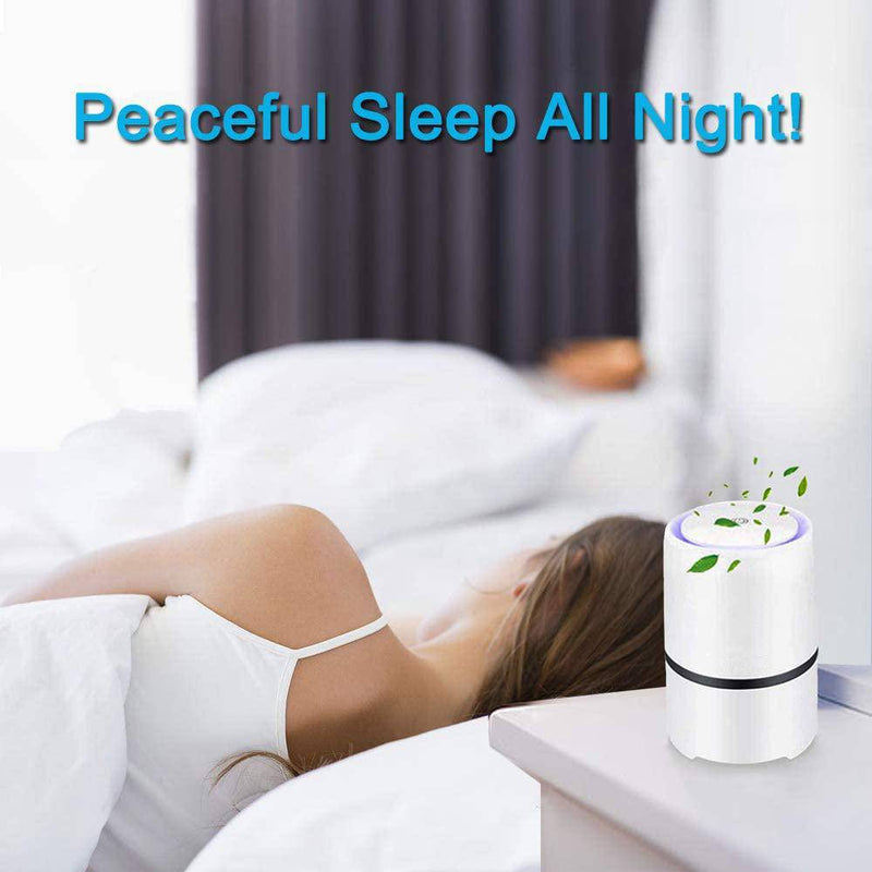 Air Purifier For Home With True HEPA Filter For Smoke Gray - SKINMOZ MARKET