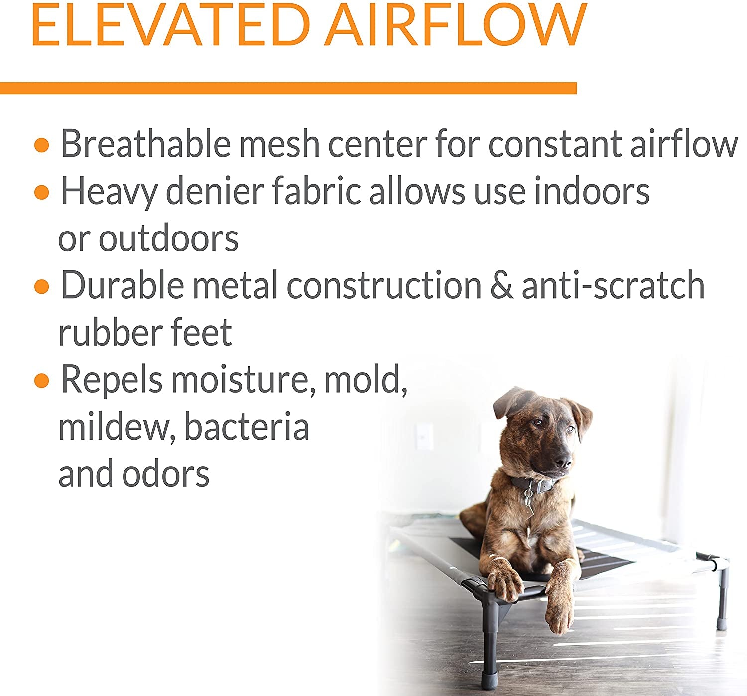 Dog Cot Bed: Elevated Dog Bed Cot Large And Extra Large - SKINMOZ MARKET