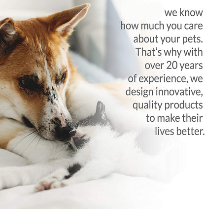 Dog Cot Bed: Elevated Dog Bed Cot Large And Extra Large - SKINMOZ MARKET