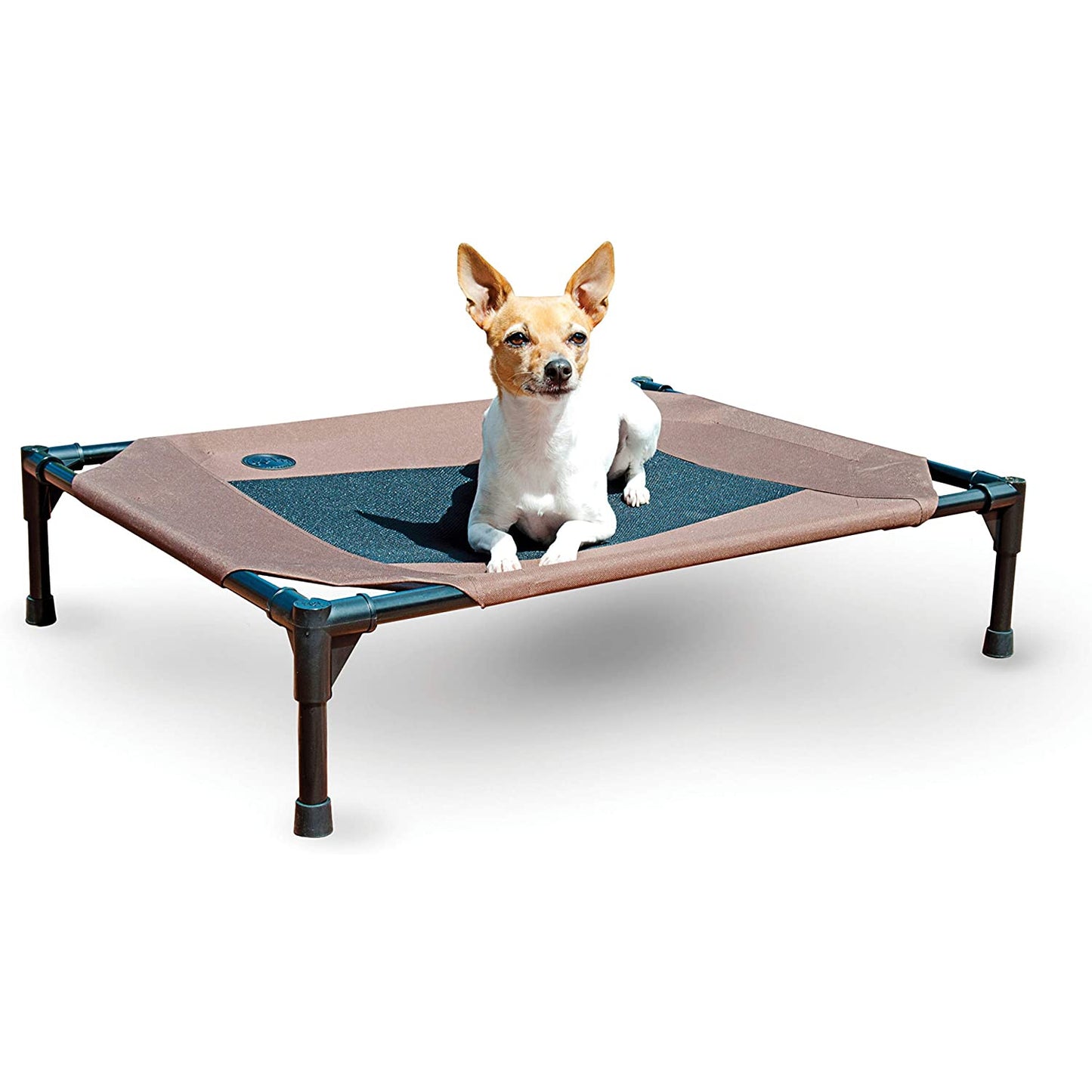 Dog Cot Bed: Elevated Dog Bed Cot Large And Extra Large - SKINMOZ MARKET
