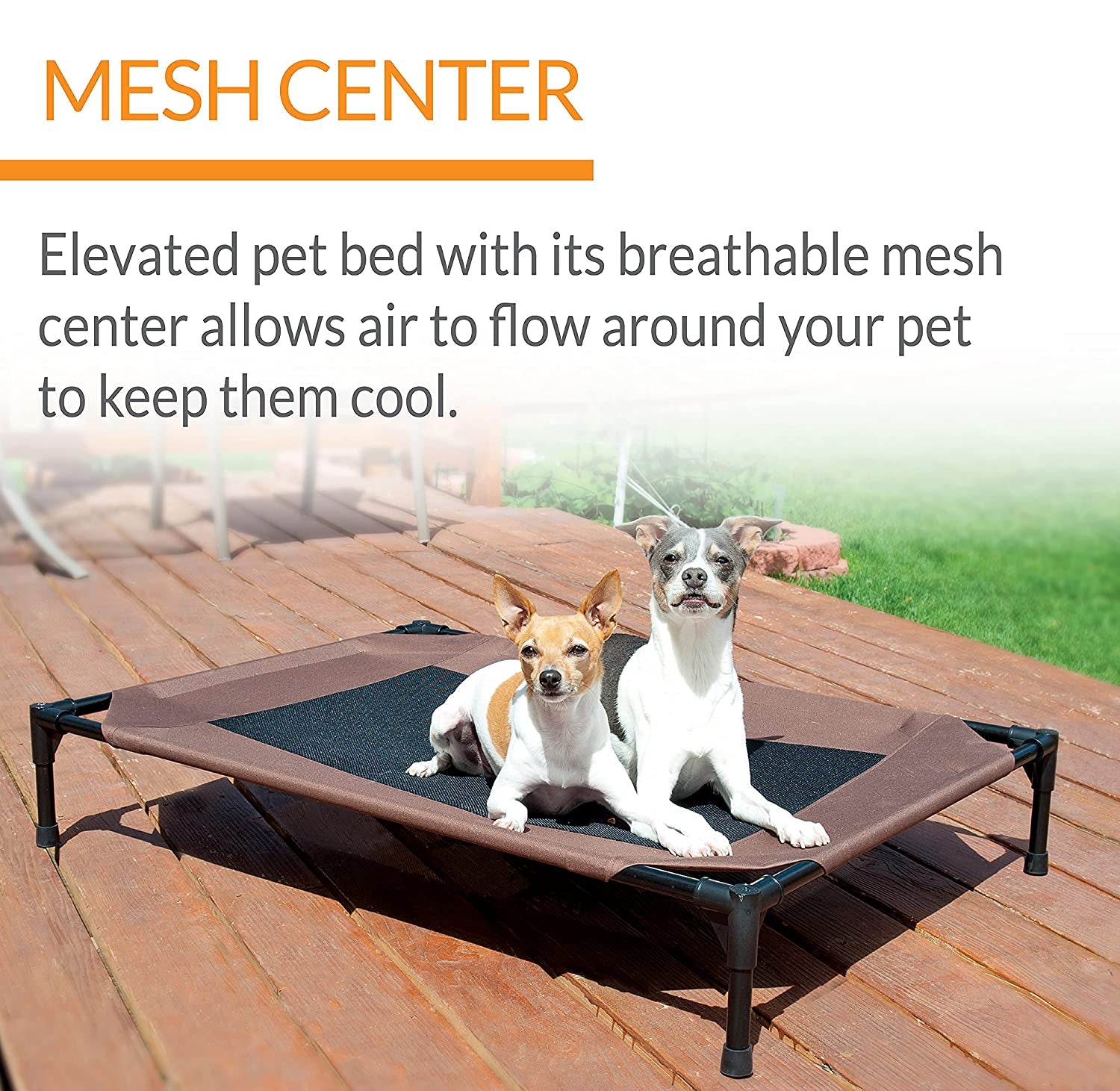 Dog Cot Bed: Elevated Dog Bed Cot Large And Extra Large - SKINMOZ MARKET