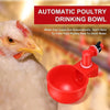 Automatic Chicken Cup Waterer : Auto Poultry Water Cup - SKINMOZ MARKET
