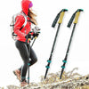 Load image into Gallery viewer, Walking Stick For Hiking : Carbon Fiber Trekking And Hiking Poles - SKINMOZ MARKET