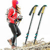 Walking Stick For Hiking : Carbon Fiber Trekking And Hiking Poles - SKINMOZ MARKET