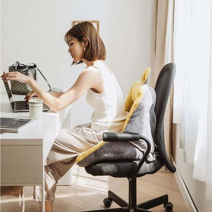 Cushion Seat Chair : One seat chair, Back Pillow For Home And Office Chair - SKINMOZ MARKET